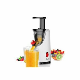 Zilan - Slowjuicer - RVS - 200 Watt 